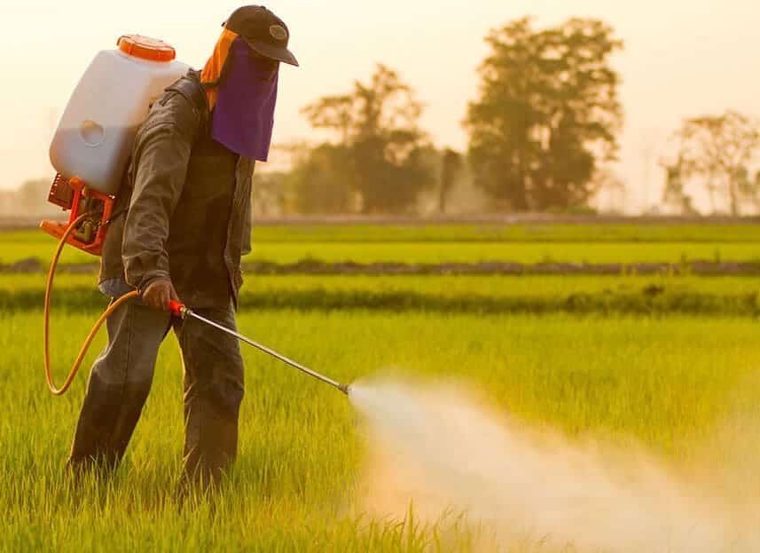 صادرات-بهاران