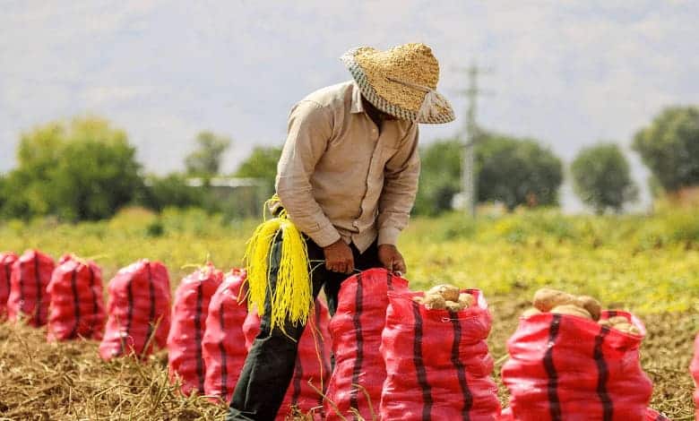 صادرات-بهاران